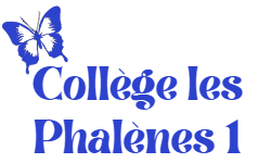 Canvas Logo
